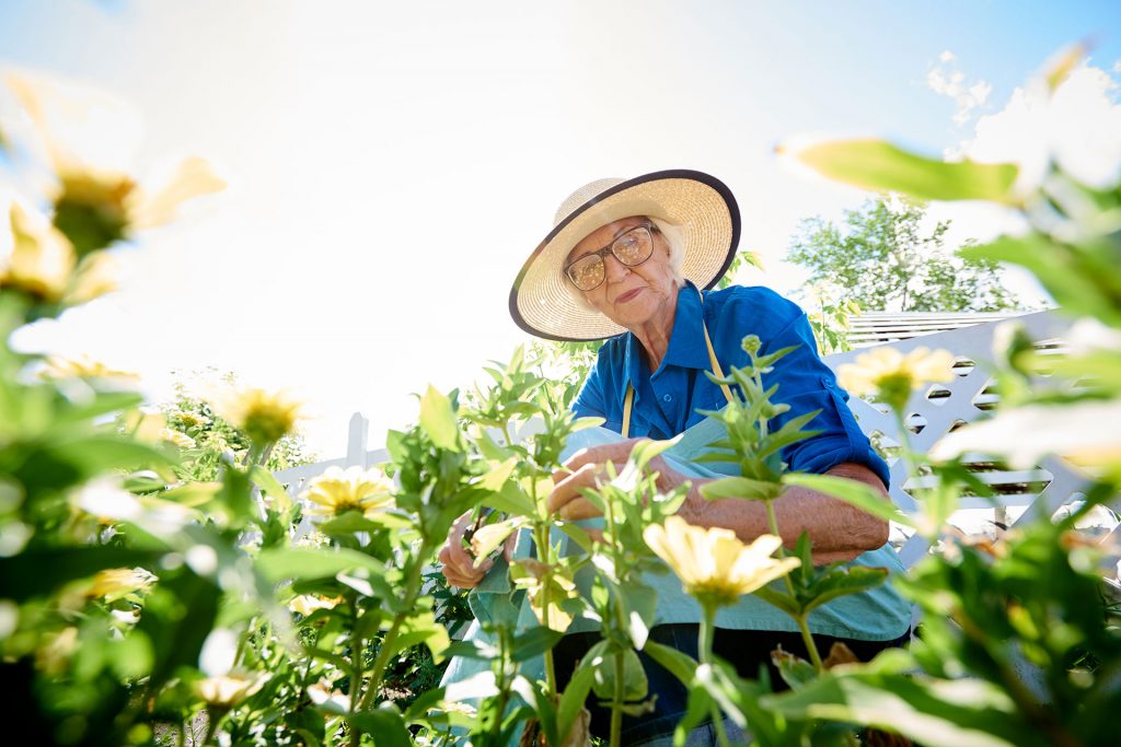 old-woman-gardening